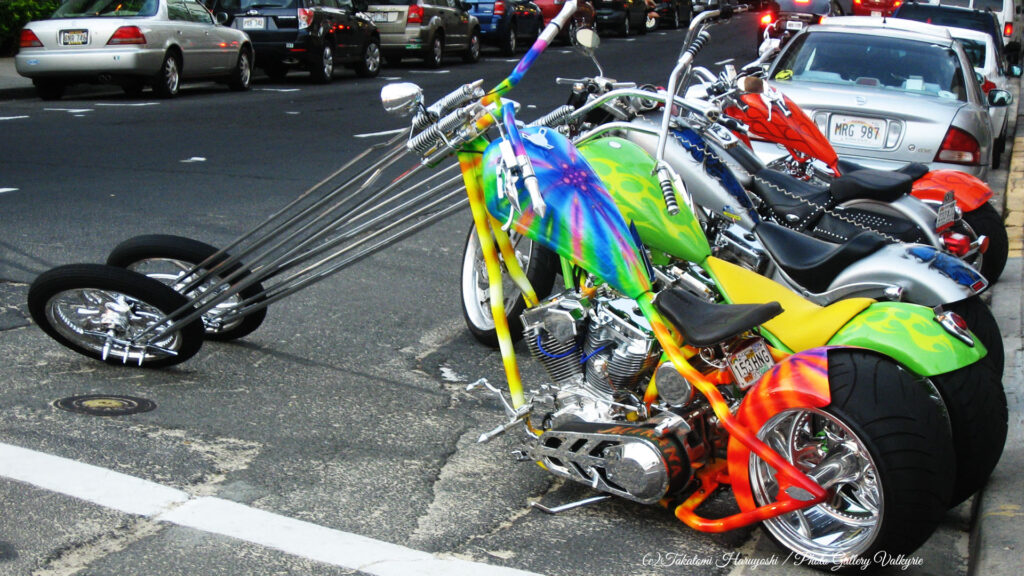 photo_gallery_valkyrie_takatomi_haruyoshi_motorcycle_01