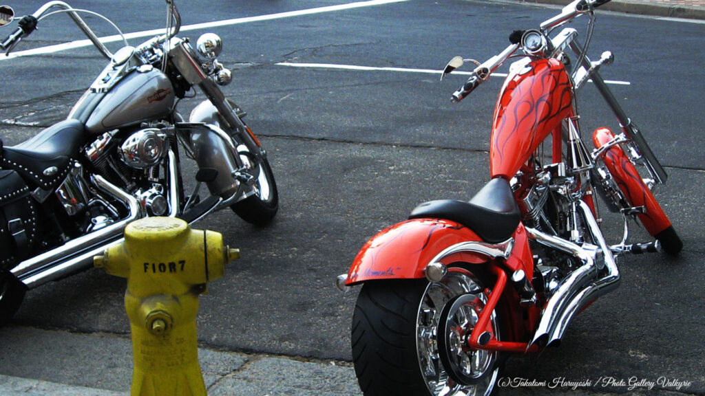 photo_gallery_valkyrie_takatomi_haruyoshi_motorcycle_04