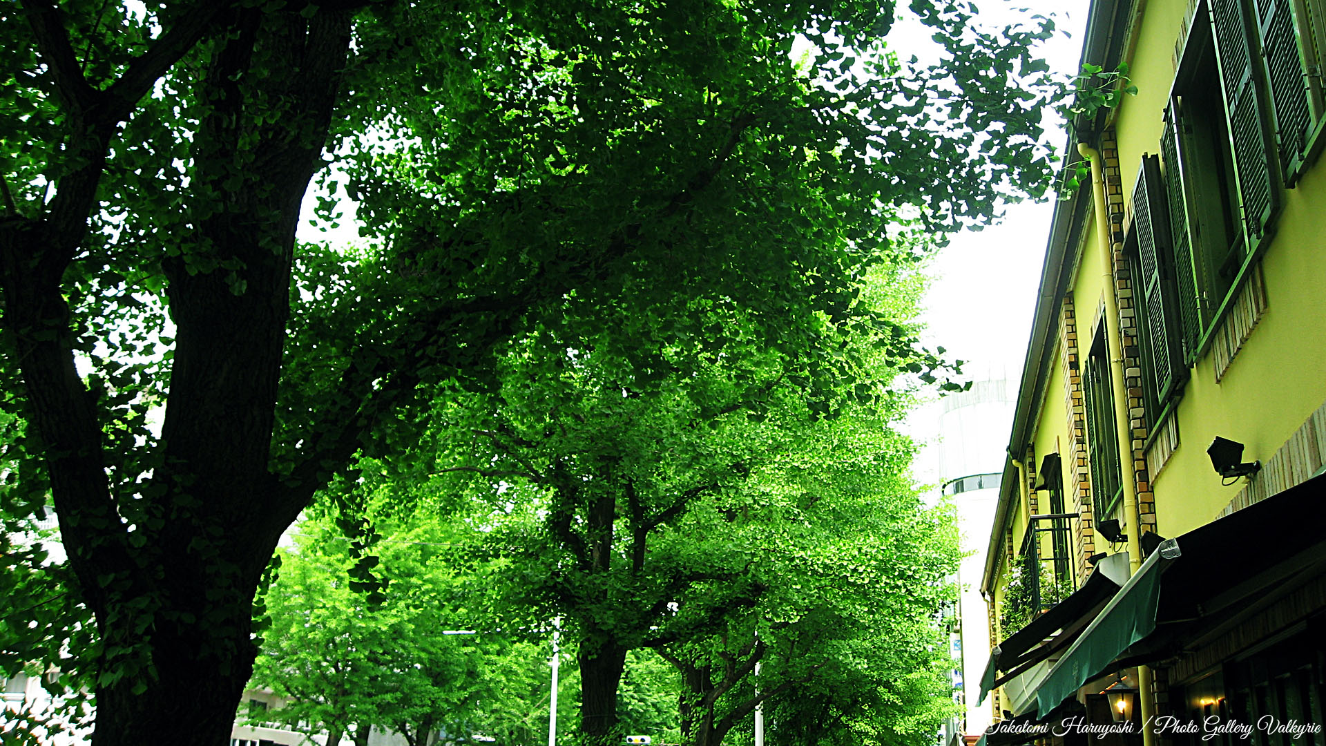 photo_gallery_valkyrie_takatomi_haruyoshi_tokyo_landscape_09